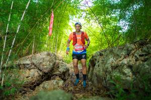 BIB: 2005
                            <button type="button" onclick="openModal(22087359)" class="btn btn-primary btn-sm float-right btn-popup" data-toggle="modal" data-target=".modal-high-quality">
                        <i class="fas fa-shopping-cart"></i> Add to Cart
                    </button>
                                            <button type="button" onclick="isThisMe(22087359, true)" class="btn btn-success btn-sm float-right btn-popup btn-isme hidden" data-toggle="tooltip" data-placement="bottom" title="นี่คือรูปของคุณใช่ไหม คลิกที่นี่เพื่อเอาเข้าอัลบั้ม">
                        <i class="fas fa-plus"></i> Add to album
                    </button>
                    <button type="button" onclick="isThisMe(22087359, false)" class="btn btn-warning btn-sm float-right btn-popup btn-isnotme hidden">
                        <i class="fas fa-ban"></i> Remove from album
                    </button>